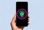 Android 17 QPR2 Beta 5 Arrives on Pixel as Google Polishes Its Next Big Update