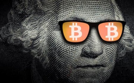 Bitcoin Roars Back Above $86,000 as Crypto Market Finds Its Momentum Again