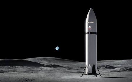 SpaceX Investors Focus on Starship Milestones Over Financial Results